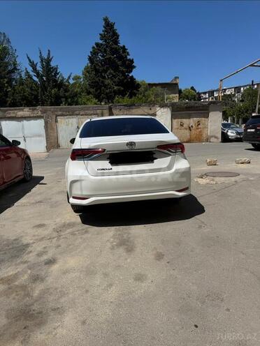 Toyota Corolla-2
