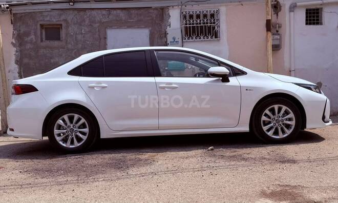 Toyota Corolla-9