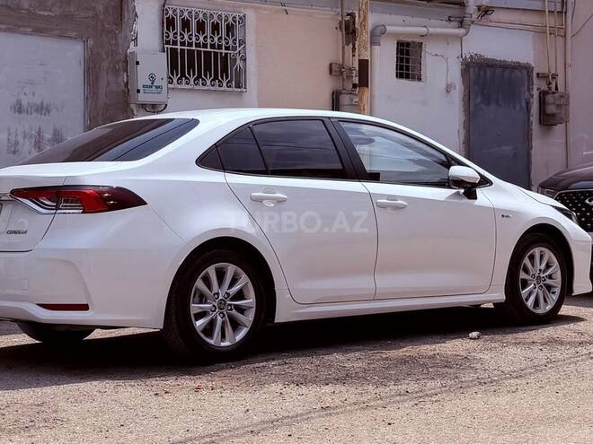 Toyota Corolla-7