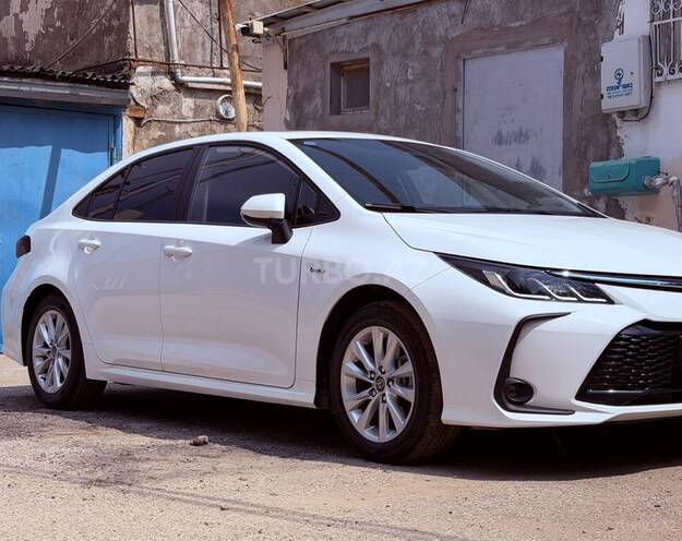 Toyota Corolla-12