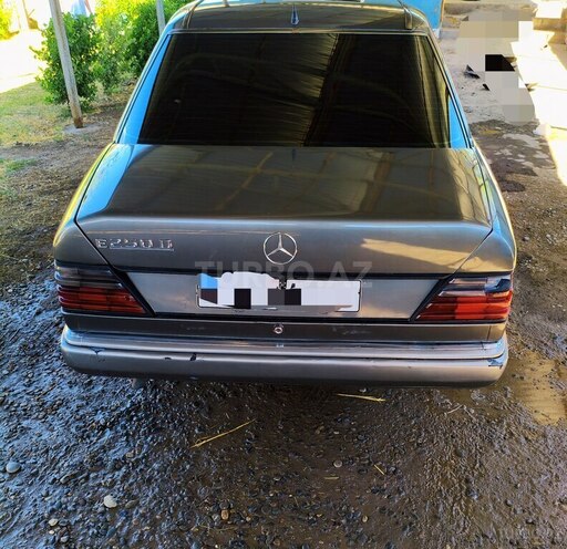 Mercedes 250 D-5