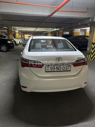 Toyota Corolla-6