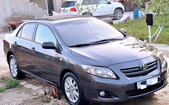 Toyota Corolla-2