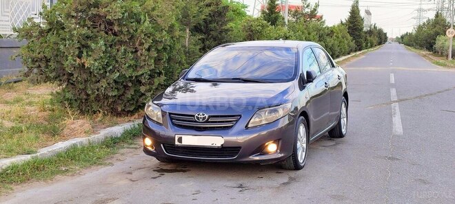 Toyota Corolla-6