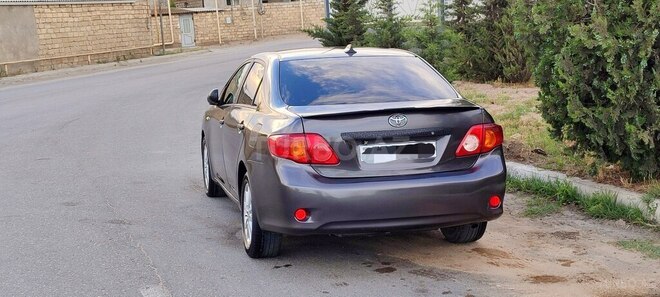 Toyota Corolla-5