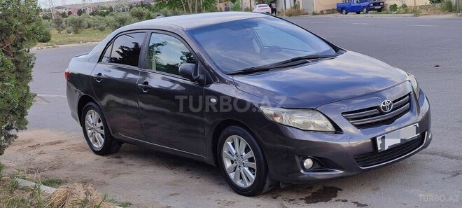 Toyota Corolla-4
