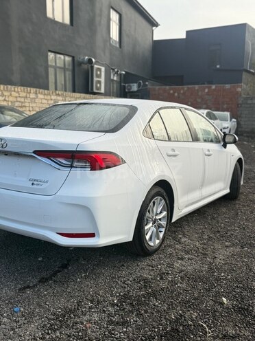 Toyota Corolla-4