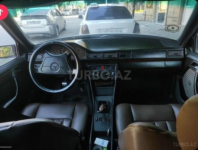 Mercedes 250 D-10