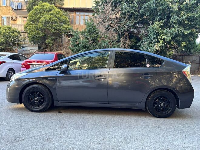 Toyota Prius-8