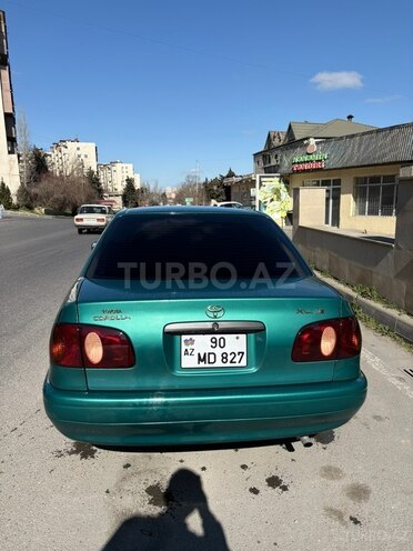 Toyota Corolla-5