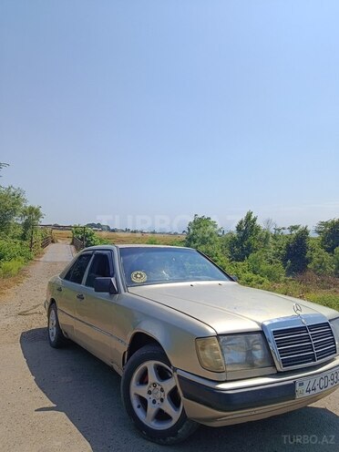 Mercedes 250 D-9