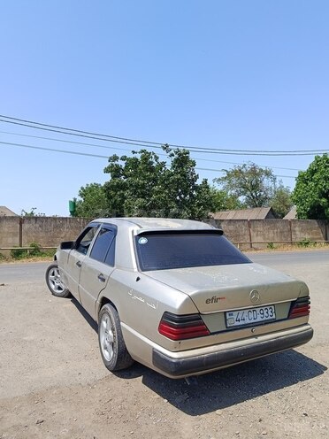 Mercedes 250 D-10