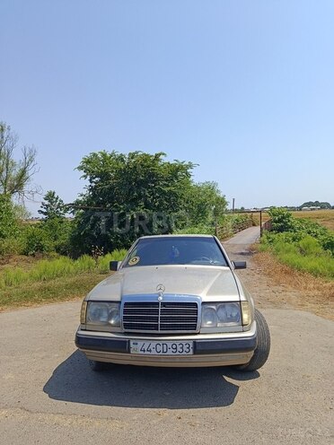 Mercedes 250 D-1