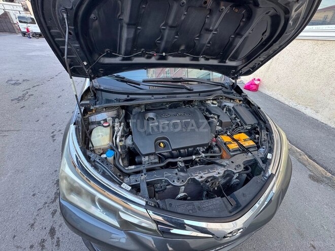 Toyota Corolla-16