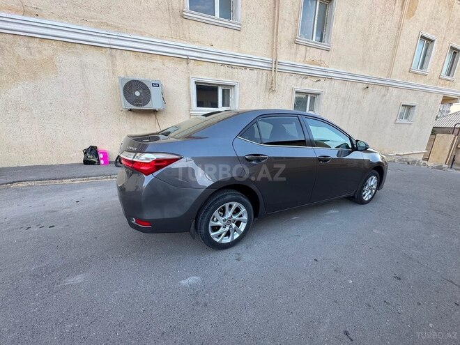 Toyota Corolla-14
