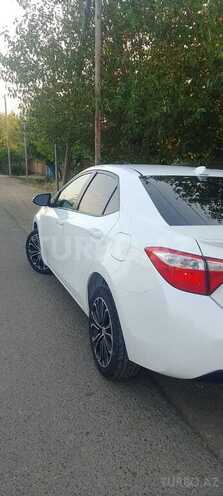 Toyota Corolla-7