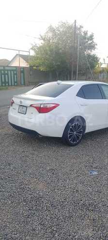 Toyota Corolla-4