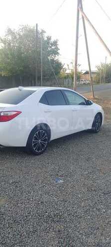 Toyota Corolla-3