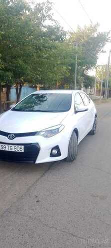 Toyota Corolla-17