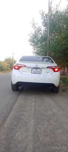 Toyota Corolla-6
