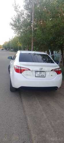 Toyota Corolla-14