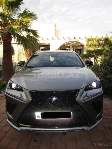 Lexus NX 300-1