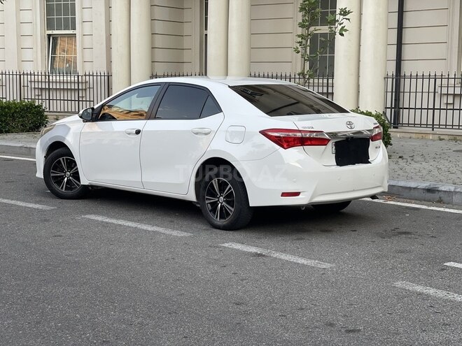 Toyota Corolla-6