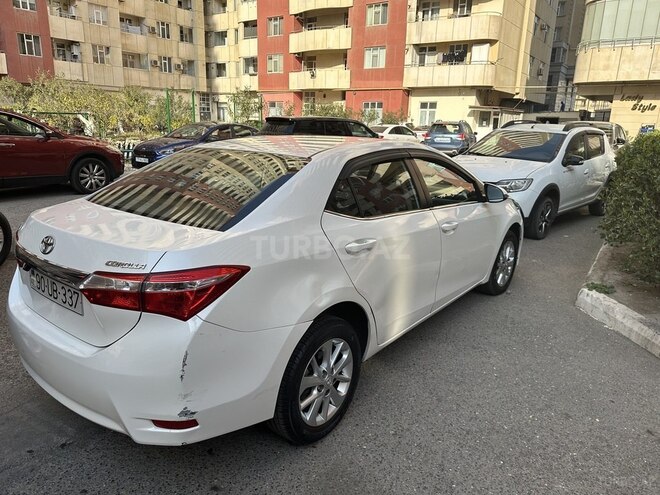 Toyota Corolla-4