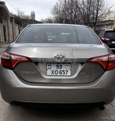 Toyota Corolla-8
