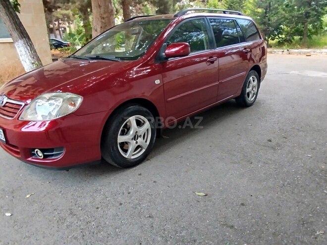 Toyota Corolla-4
