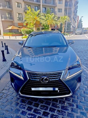 Lexus NX 300-1