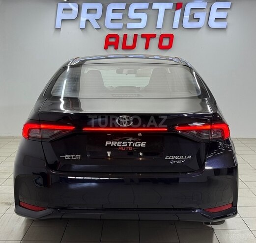 Toyota Corolla-6