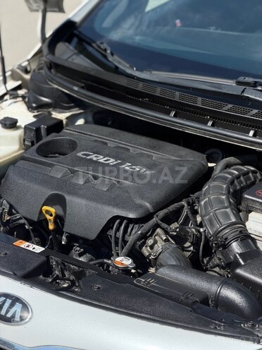 Kia K3-8