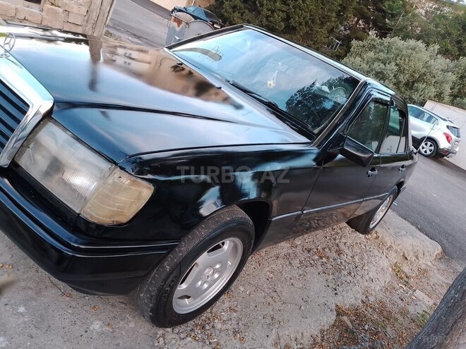 Mercedes 250 D-8
