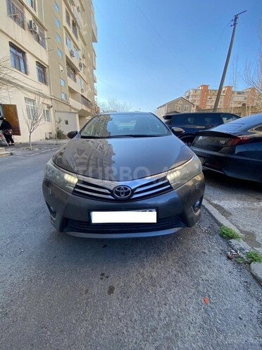 Toyota Corolla-1