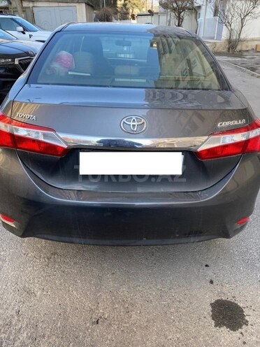 Toyota Corolla-2