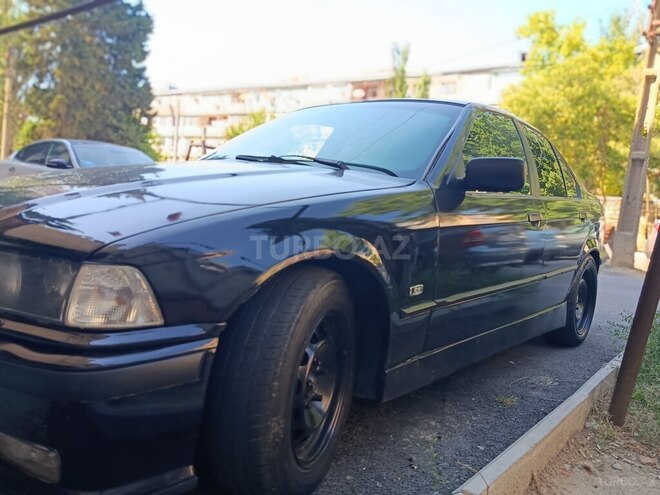 BMW 318-6
