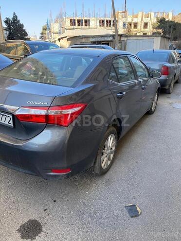 Toyota Corolla-4