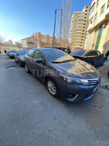 Toyota Corolla-6