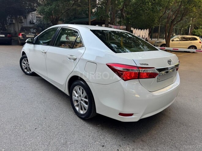 Toyota Corolla-4