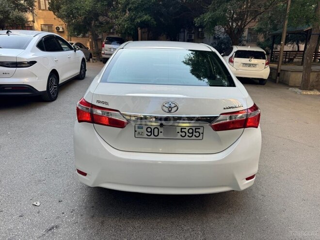 Toyota Corolla-8