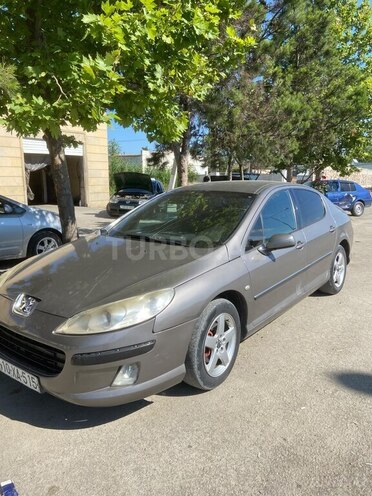 Peugeot 407-4