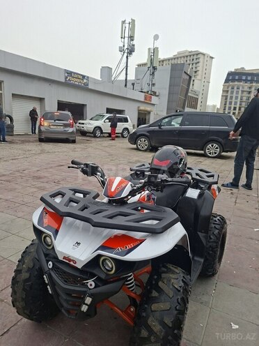 Kayo Mini Bull AU110-4