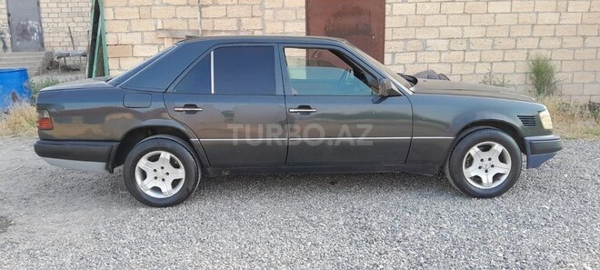 Mercedes 250 D-3