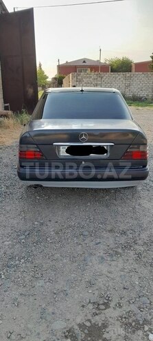 Mercedes 250 D-4