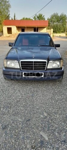 Mercedes 250 D-1