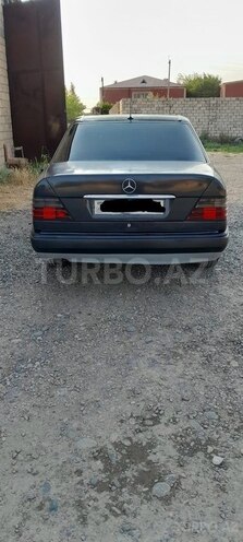 Mercedes 250 D-7