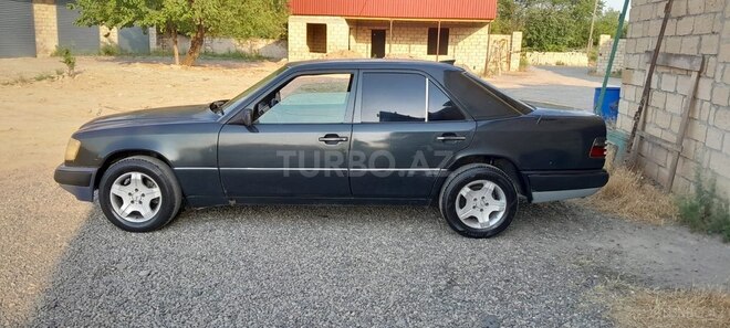 Mercedes 250 D-6
