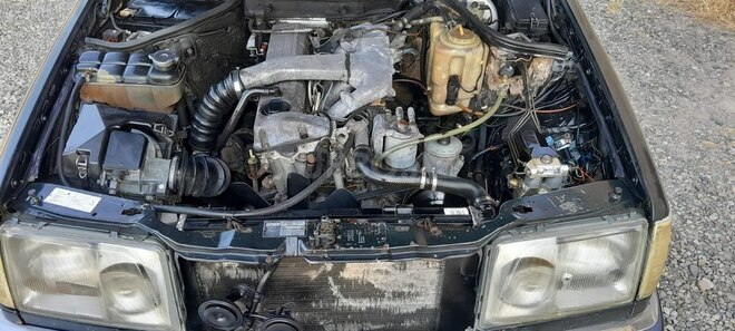 Mercedes 250 D-13