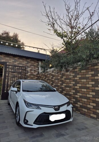 Toyota Corolla-4